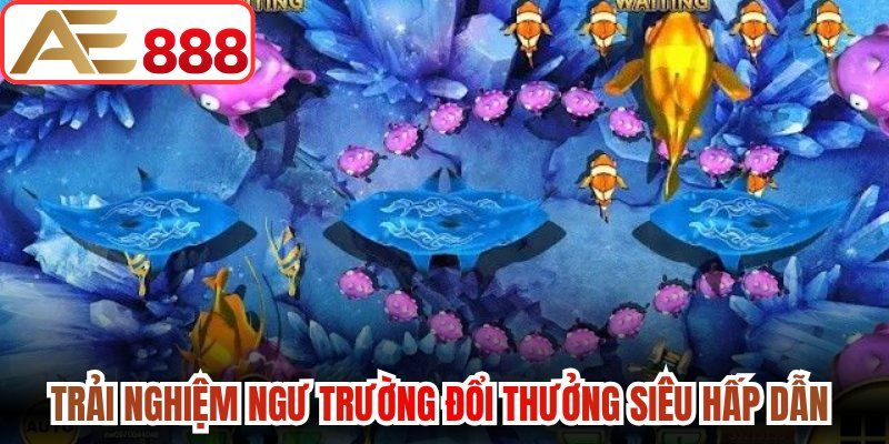 Trải nghiệm ngư trường đổi thưởng siêu hấp dẫn 