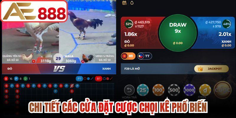 Chi tiết các cửa đặt cược chọi kê phổ biến