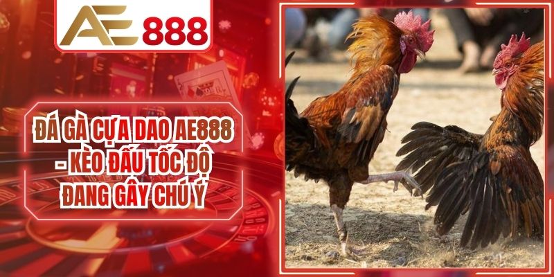 Đá Gà Cựa Dao AE888 - Kèo Đấu Tốc Độ Đang Gây Chú Ý