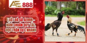Luật Đá Gà AE888 - Nắm Chuẩn Quy Tắc, Đọc Trận Cực Nhanh